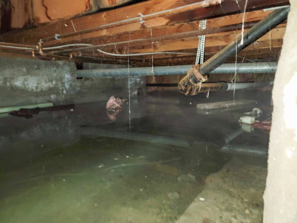 Best Water damage restoration near me  in Wylie, TX