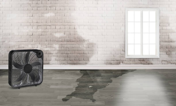  Wylie, TX Water damage restoration Pros